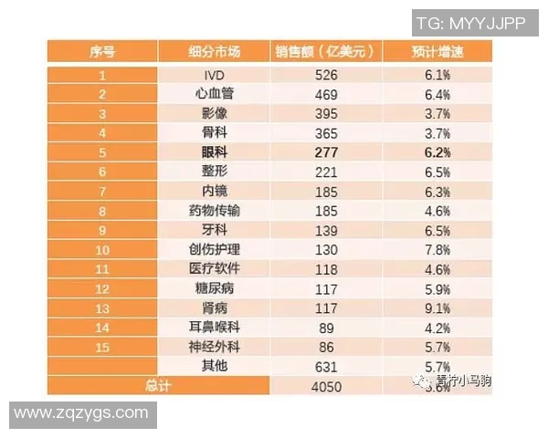成都羽毛球队实力解析与发展现状的深度探讨与展望