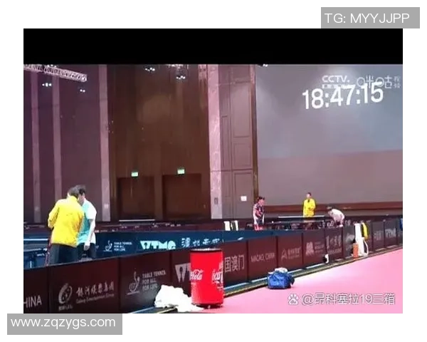 成都乒乓球队在联赛中的灵活应变能力展现出卓越的竞技水平与团队协作精神 成都乒乓球队在联赛中的灵活应变能力展现出卓越的竞技水平与团队协作精神