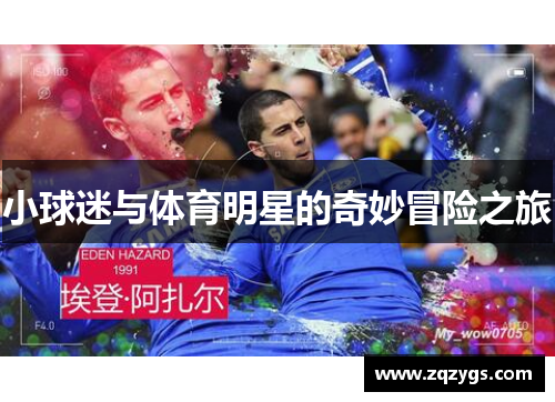 小球迷与体育明星的奇妙冒险之旅